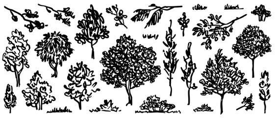 Trees sketch set. Hand drawn graphic forest. Vector illustration of different trees, shrubs and grass isolated on white background