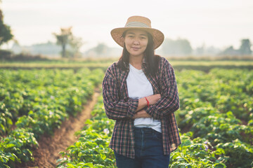 Wall Mural - Beautiful young farmer woman stands in a field of potatoes.