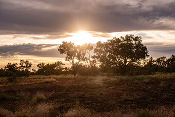 Poster - plains in the Australian outback