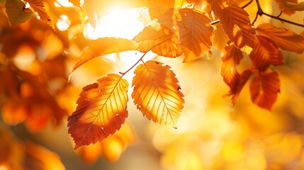 Beautiful golden autumn leaves glowing in sunlight. Captures the essence of fall season. Perfect for backgrounds. Macro photo with warm colors and vivid details. Stock image for seasonal themes. AI