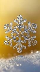 a single snowflake is highlighted against a pure yello background