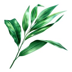 Wall Mural - Vibrant Green Pandan Leaf Watercolor Painting on Clean White Background