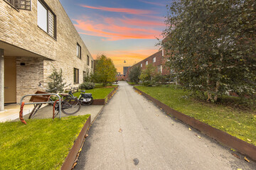 Wall Mural - Modern houses with communal garden in the Netherlands