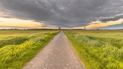 Canvas Print - Polder landscape with flowers Netherlands