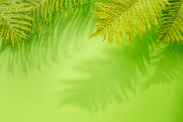 Aufkleber - Template wall with leaves shadow