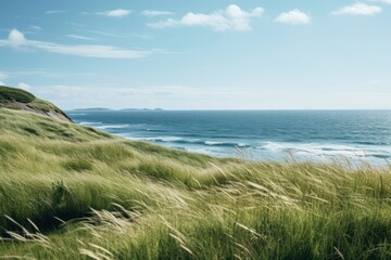 Canvas Print - Sea grass landscape outdoors.