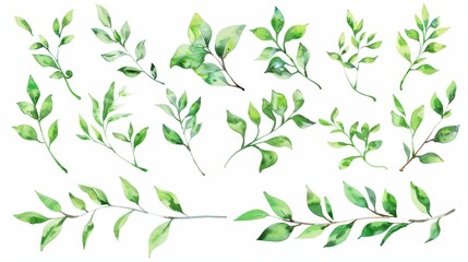Wall Mural - An isolated watercolor print of tropical spring floral green leaves and flowers with generative AI on a transparent transparent PNG background.