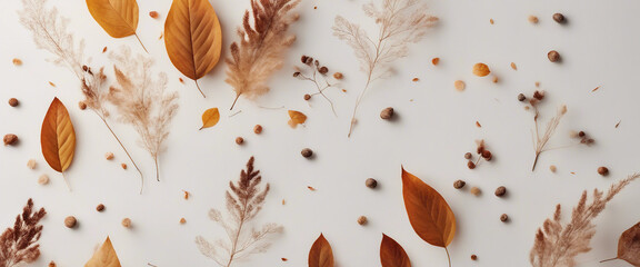 Wall Mural - Autumn abstract background with organic lines and textures on white background Autumn floral detail