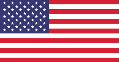 United States of America flag. Vector illustration design