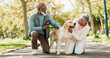 © peopleimages.com - Love, senior couple and pet outdoor on walk together for group exercise, health and wellness in park. Active, senior man and woman in nature with labrador animal for morning adventure and retirement