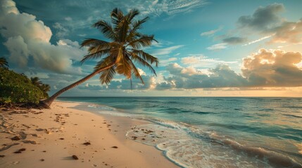 A lone palm tree sways on a tropical beach at sunrise, the golden light reflecting on the calm ocean.