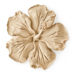 Poster - Sand Sculpture a hibiscus white background accessories freshness.