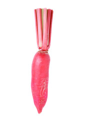 Poster - Radish transparent png