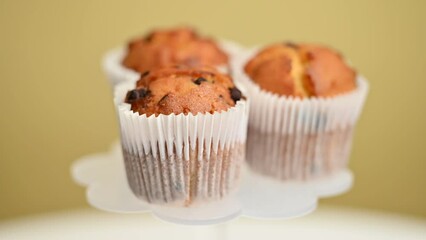 Wall Mural - muffins with chocolate drops