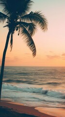 Poster - Beach wallpaper shoreline arecaceae outdoors.