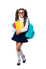 Sticker - Full size body length of cute cheerful lovely stylish adorable small little girl with curly ponytails in blouse shirt and blue skirt, keeping color book pile, folders. Isolated over grey background