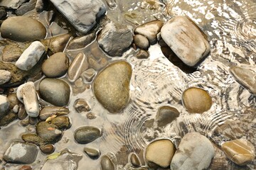 Wall Mural - Many different stones in water, top view