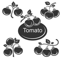 Wall Mural - Tomato set. Collection icon tomato. Vector
