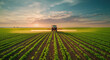 © GustavsMD - A tractor sprays a vast lettuce field at sunrise, highlighting modern agricultural practices and the beauty of farming landscapes.