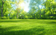 © btiger - Impressionist spring landscape with blurred green grass meadow trees blue sky sunny day