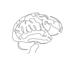 Wall Mural - One continuous single drawing line art flat doodle  concept, intelligence, science, brain, human, biology, organ, anatomy, mind. Isolated image hand draw contour on a white background
