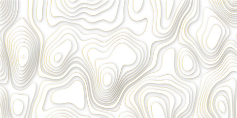 Wall Mural - Abstract papercut multi layers background. 3D topographic pattern banner design. White papercut wave background design. Vector illustration.
