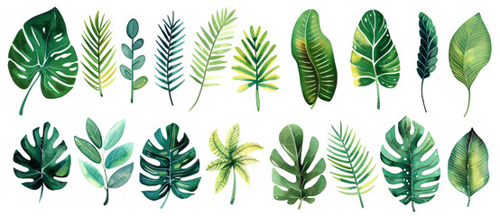 Wall Mural - Vibrant watercolor illustration of various tropical leaves in different shapes and sizes, white background, clip art style, flat design


