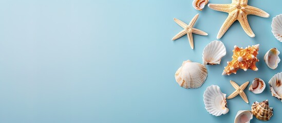 Leinwandbilder - Summer themed flat lay with a starfish and seashells arranged on a soft blue background. Top view with ample copy space for image enhancement.