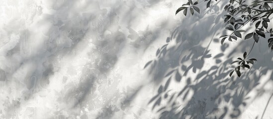 Wall Mural - Blurry shadow of a leafy tree against a gray wall background with empty copy space image.