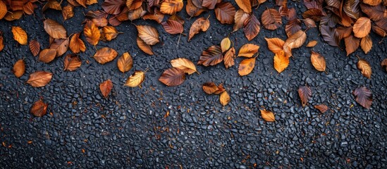 Poster - Dry autumn leaves scattered on the black asphalt road create an evocative image with empty space around. Copy space image. Place for adding text and design