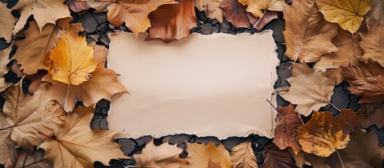 Aufkleber - Fall-themed backdrop with dried leaves and a blank sheet for a copy space image