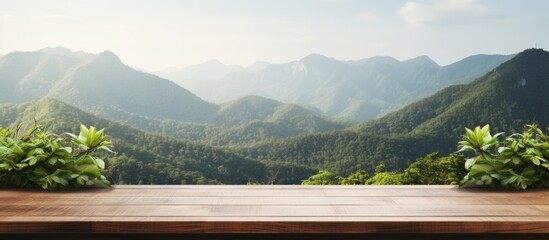 Poster - Wooden table with mountain view or desk with plant backdrop, allowing room for text, like a copy space image.