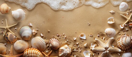 Canvas Print - Sandy beach backdrop with seashells and a summer vacation theme, perfect for adding text or images.