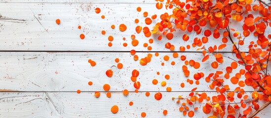 Wall Mural - Autumn Halloween-themed wooden sign against a white backdrop adorned with bright orange circles, creating a festive atmosphere. Includes space for adding images.