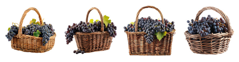 Black ripe grape harvest in wicker baskets isolated on transparent background, bunch sweet fruit juicy