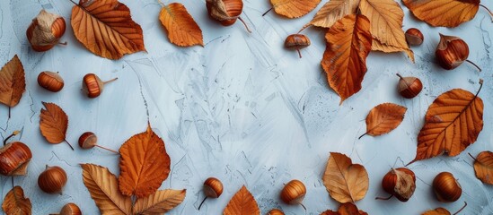 Aufkleber - Autumn background with full-frame flat lay featuring chestnut leaves creating a beautiful display with copy space image.