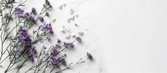 Poster - White background with Limonium bouquet, copy space image.