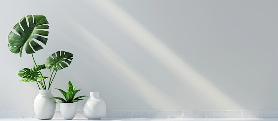 Aufkleber - Monstera leaves or Swiss Cheese plant displayed in a modern interior with a white background, embodying a minimalistic concept. The image includes copy space and selective focus.