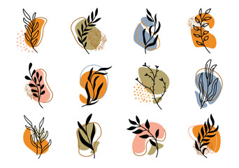 set of drawn geometric shapes in flat cartoon design. a collection of different shapes and plant sil