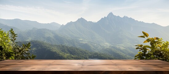 Poster - Wooden table with mountain view or desk with plant backdrop, allowing room for text, like a copy space image.