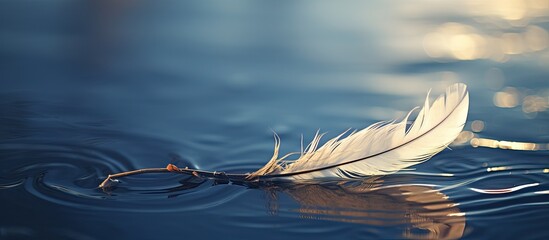 Aufkleber - Feather of a bird resting on the water, providing room for a caption within the image.