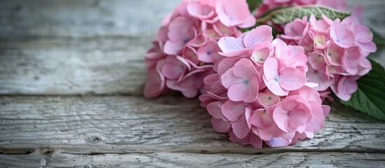 Canvas Print - Pale pink hydrangea blossoms displayed with paper on a wooden surface background, providing space for adding text to the image.