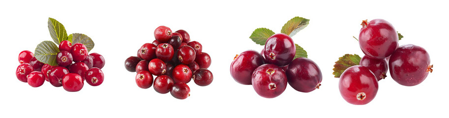 Design elements cranberries with transparent background, fresh healthy sweet organic