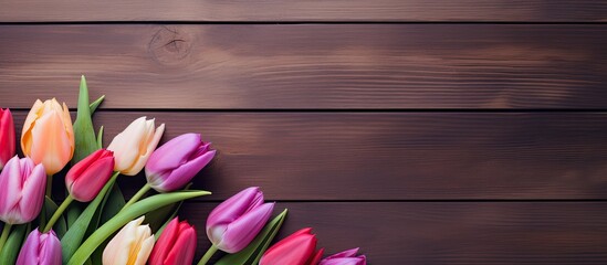 Aufkleber - Tulip flowers arranged with copy space image.