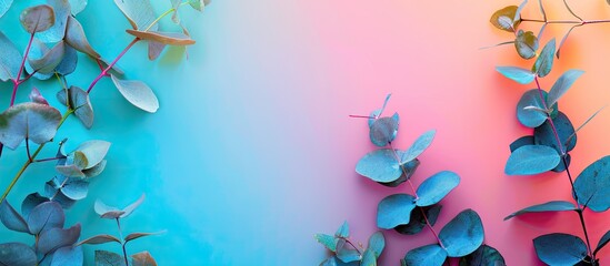 Aufkleber - Eucalyptus branches frame displayed on a colorful backdrop with ample copy space image.