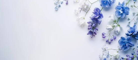 Sticker - Delphinium flower on a white backdrop with copy space image.