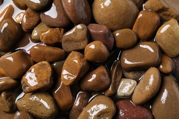Wall Mural - Beautiful pebbles in water as background, top view