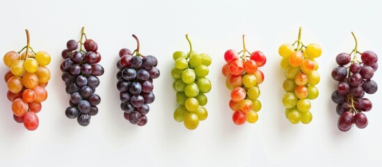 Poster - A row of twelve cheerful grapes displayed individually against a white backdrop with copy space image.