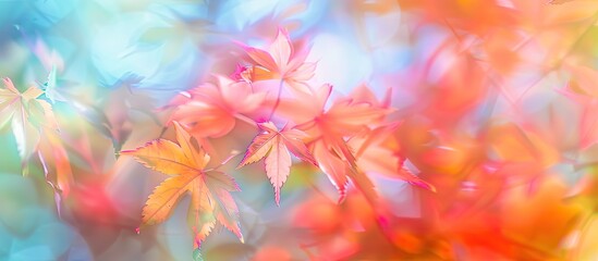Poster - Blurred, colorful maple leaves in autumn create a vibrant copy space image.