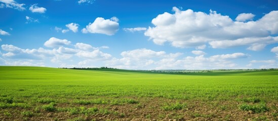 Poster - A plowed field dominates the foreground, contrasting with a lush green landscape in the backdrop under a clear blue sky, offering a serene copy space image.